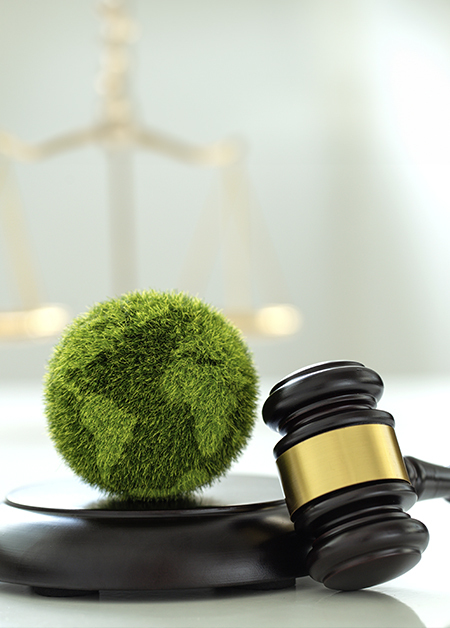 Image of moss-covered earth resting next to a gavel