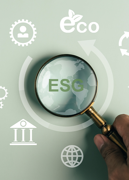 Image Magnifying Glass with ESG in the center