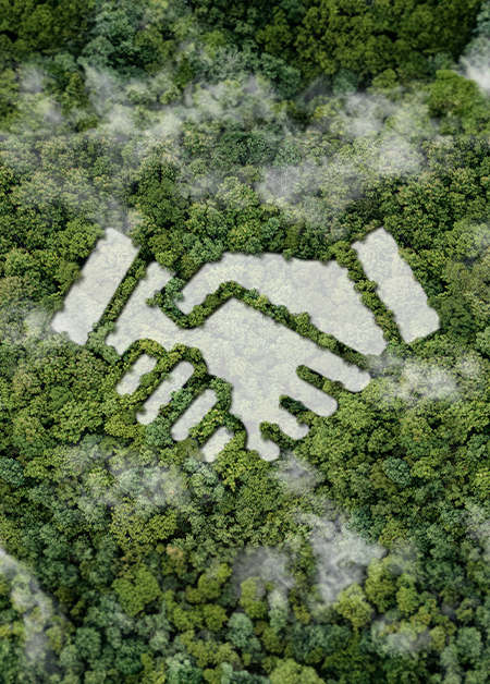 Image of handshake icon on mossy rock